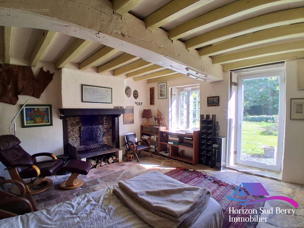 salon avec cheminée - Maison à VIGOULANT