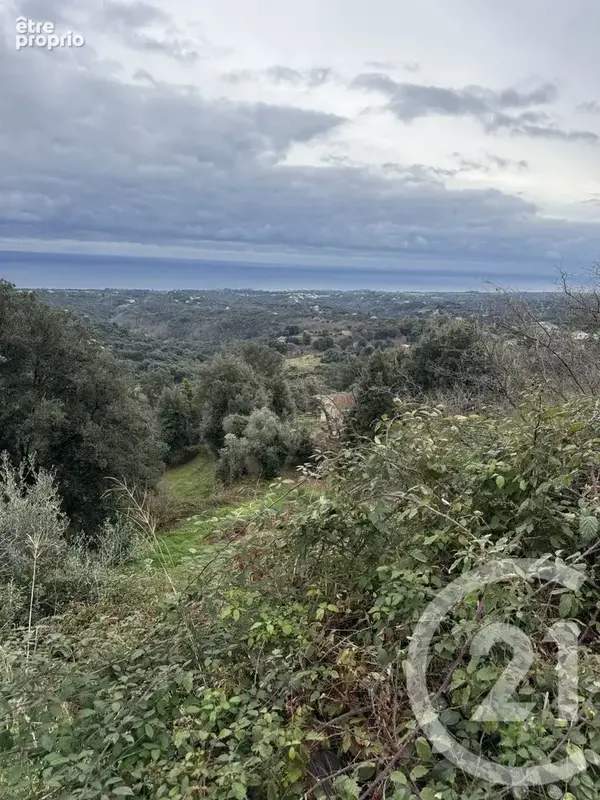 Terrain 7 200 m² à vendre à Cervione (20221) - photo 5