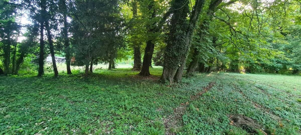 Terrain à DIJON