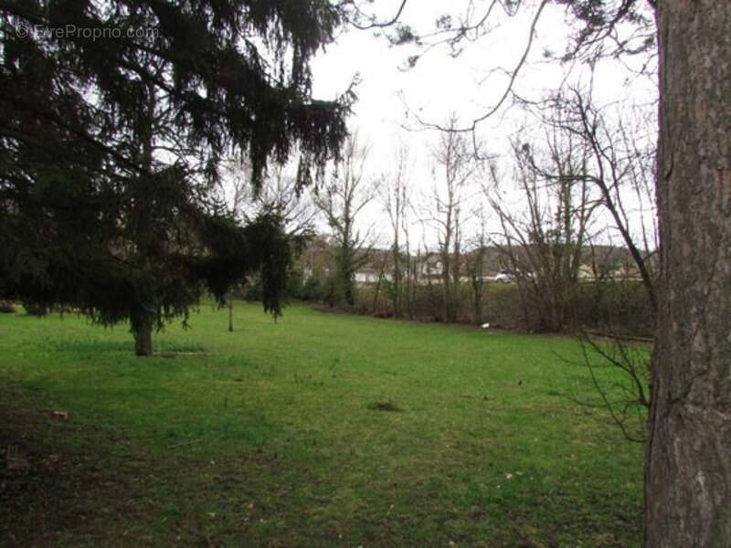 Terrain à WASSELONNE