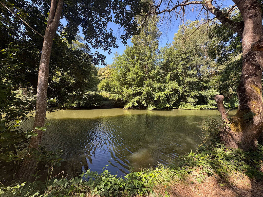 Terrain à BOSSAY-SUR-CLAISE