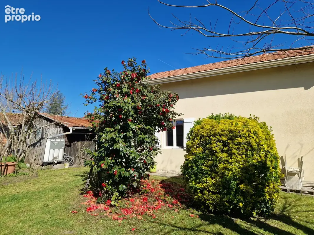 Exceptionnel vente a terme libre sur 12 ans ! - photo 15