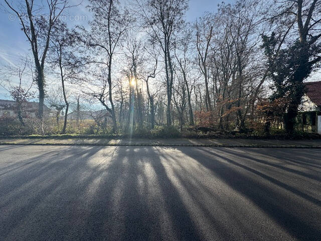 Terrain à REININGUE