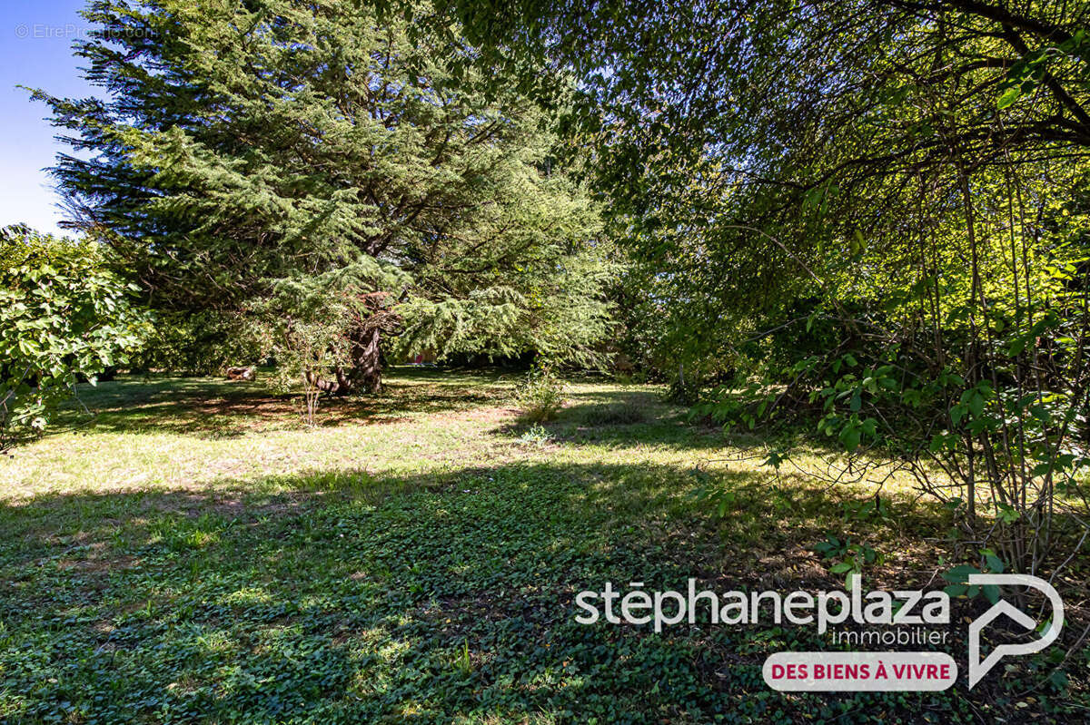 Terrain à SAINT-MAURICE-DE-GOURDANS