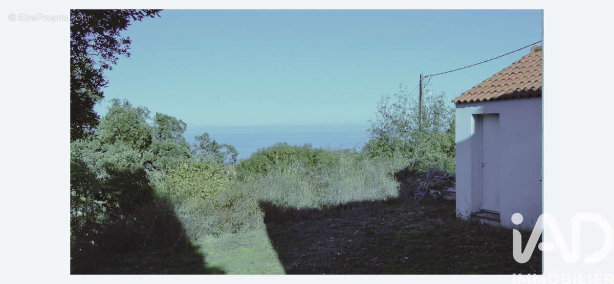 Photo 5 - Maison à SARI-SOLENZARA