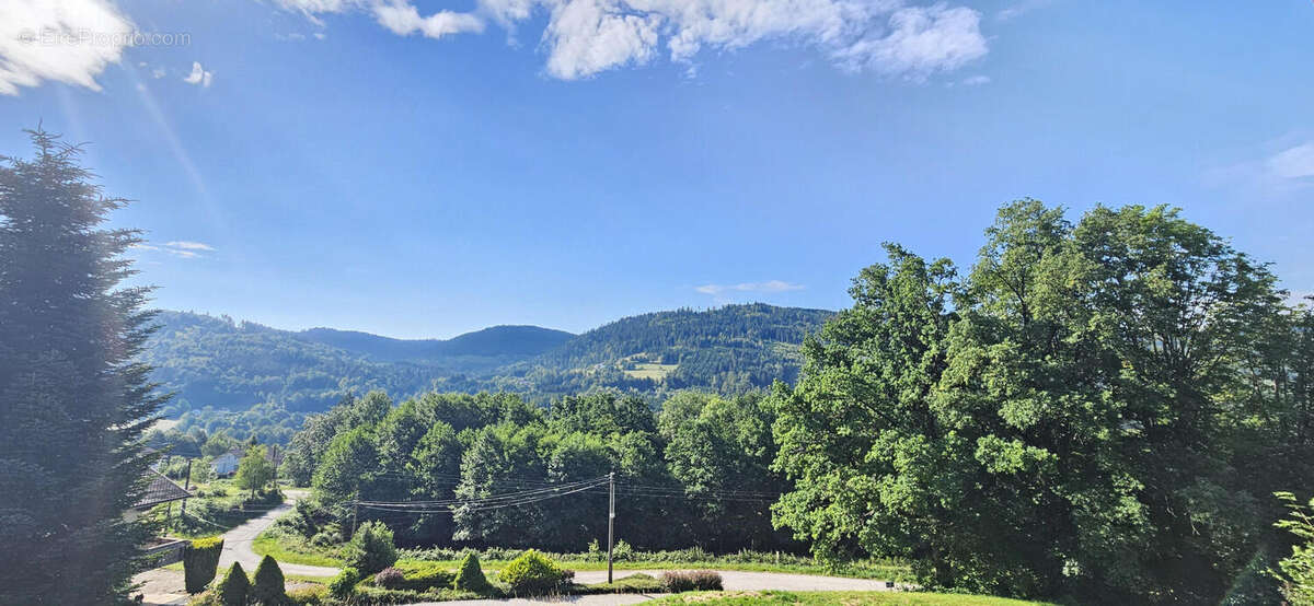 Exclu: Appartement type chalet Secteur LE THOLY-GERARDMER avec vue imprenable sur les montagnes - photo 3