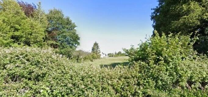 Terrain à SAINT-ANDRE-D'HEBERTOT