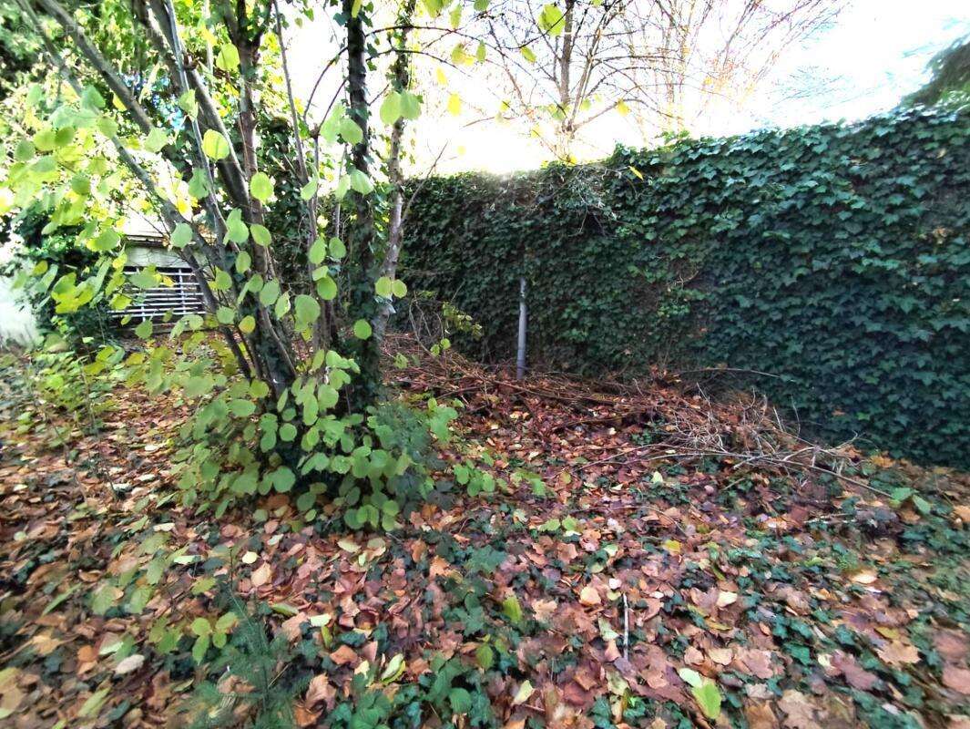 Commerce à RAMBOUILLET