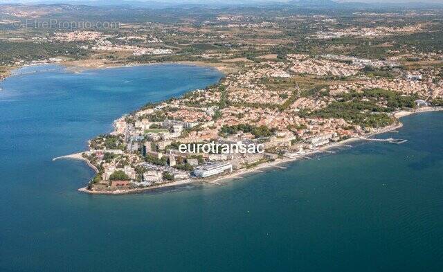 Commerce à BALARUC-LES-BAINS