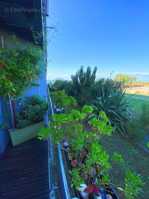 Appartement à LE GRAU-DU-ROI