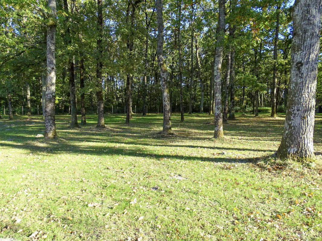 Maison à VILLEFRANCHE-SUR-CHER