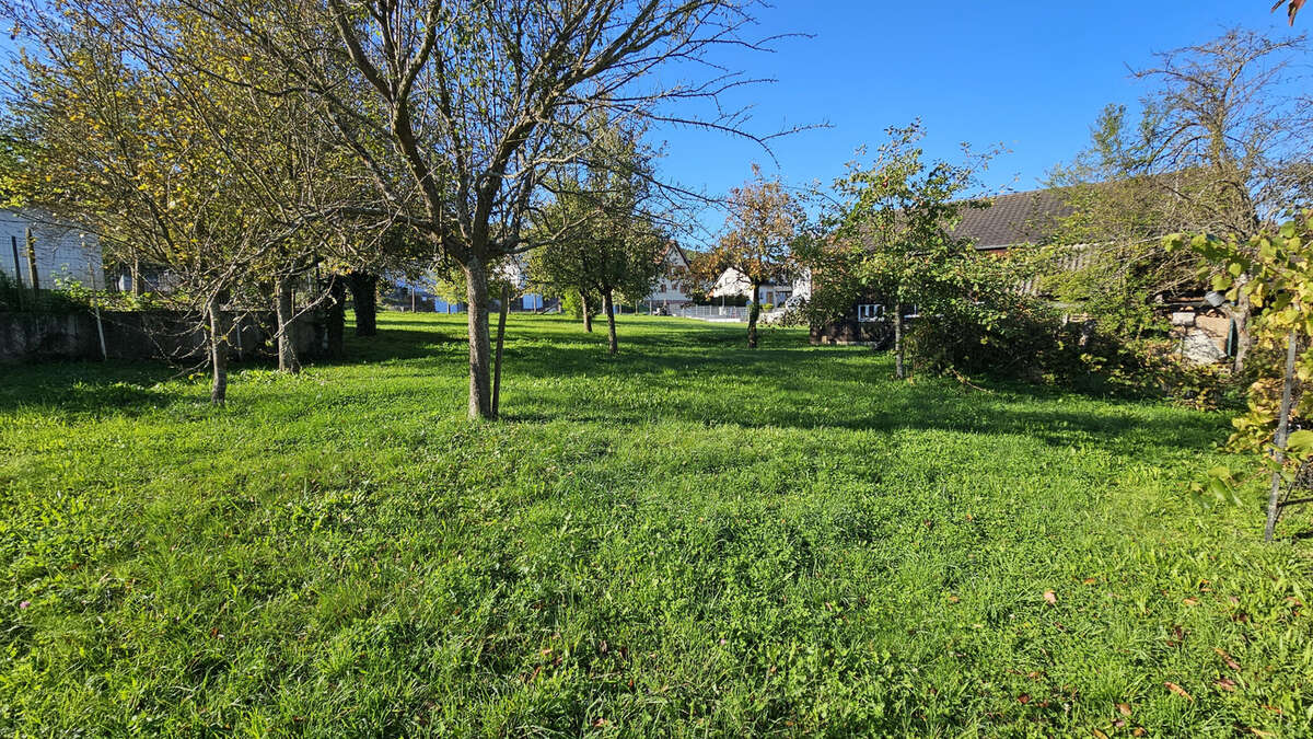 Maison à WITTERSDORF