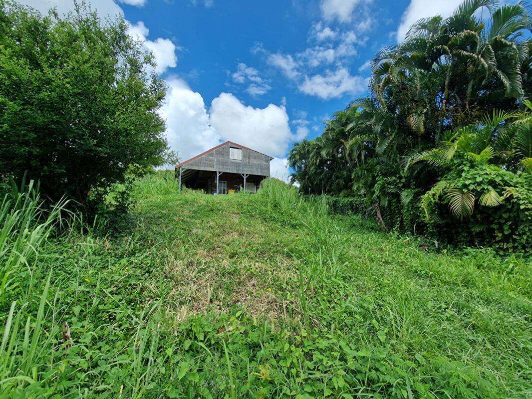 Terrain à LE VAUCLIN