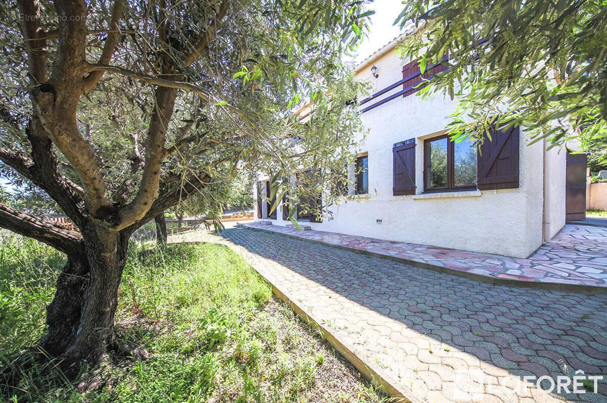 Maison à SARI-SOLENZARA