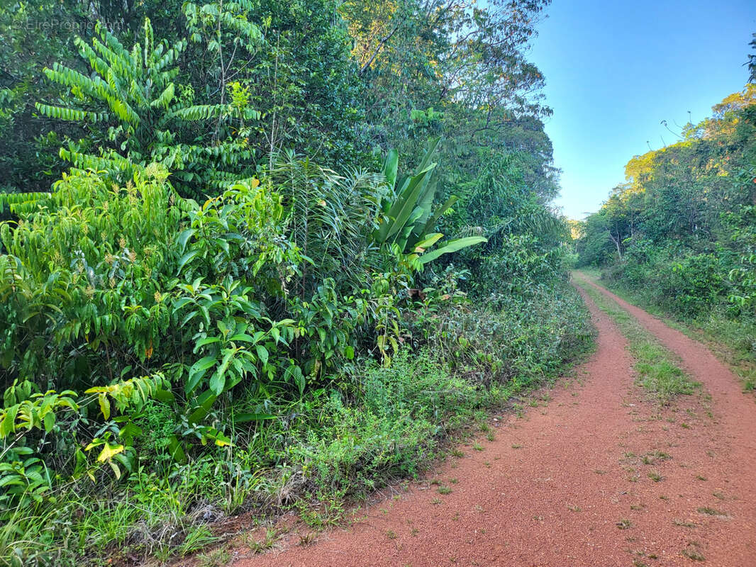 Terrain à MONTSINERY-TONNEGRANDE