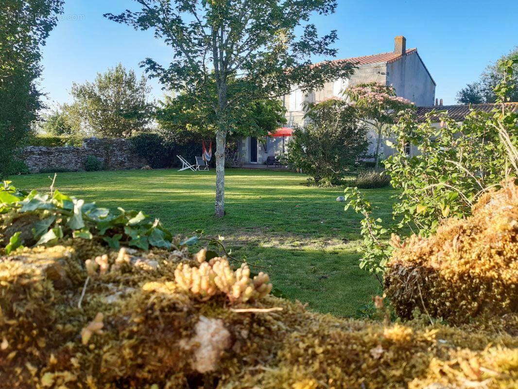 Maison à CHAMPTOCEAUX