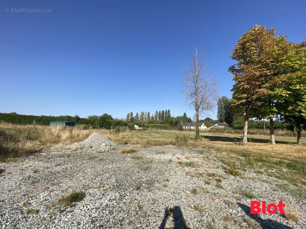 Terrain 10 073 m² à vendre à Moulins (35680) - photo 4