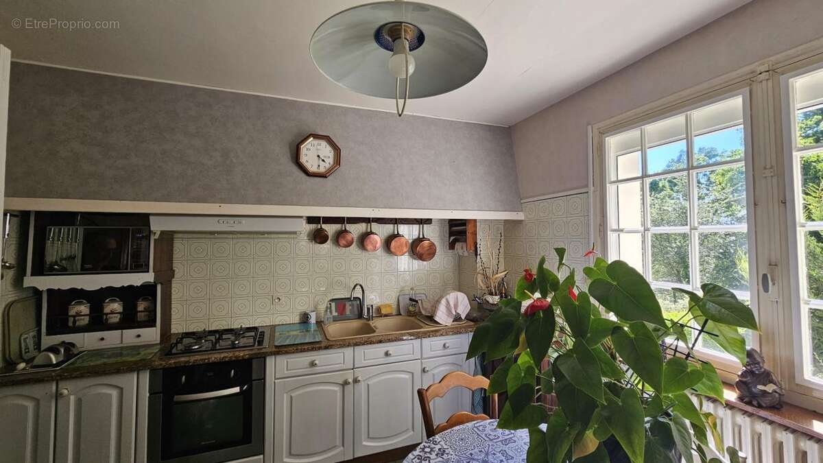 Maison à VILLENEUVE-DE-RIVIERE