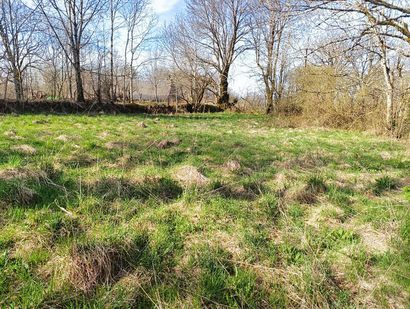 Maison à SAINT-VINCENT-DE-SALERS