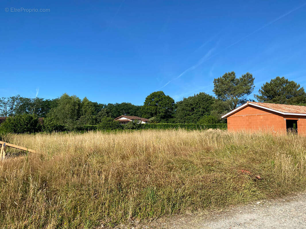 Terrain à CARCARES-SAINTE-CROIX