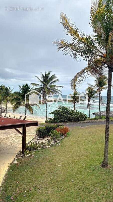 Photo 2 - Appartement à SAINT-FRANCOIS