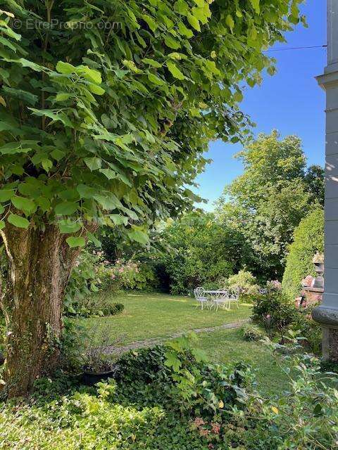 Jardin - Maison à BRUNOY