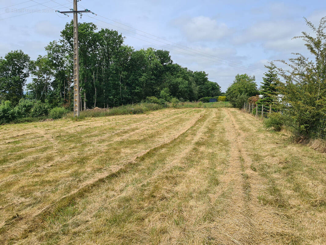 Terrain à FALAISE