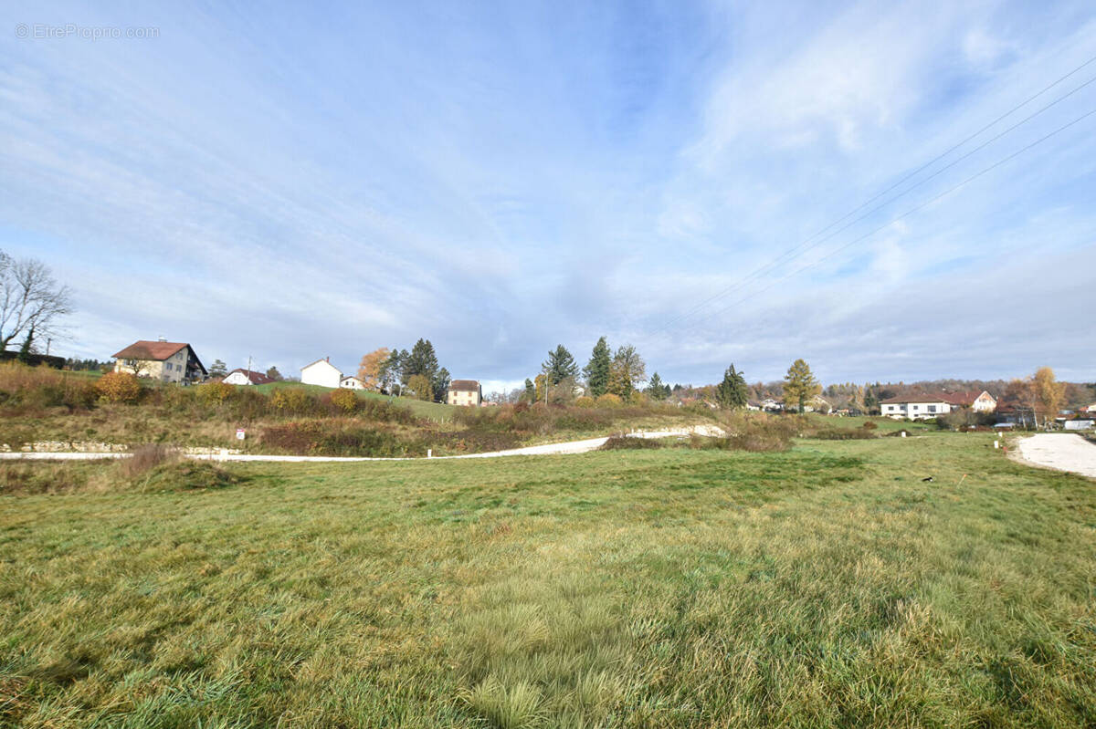 Terrain à L&#039;HOPITAL-DU-GROSBOIS