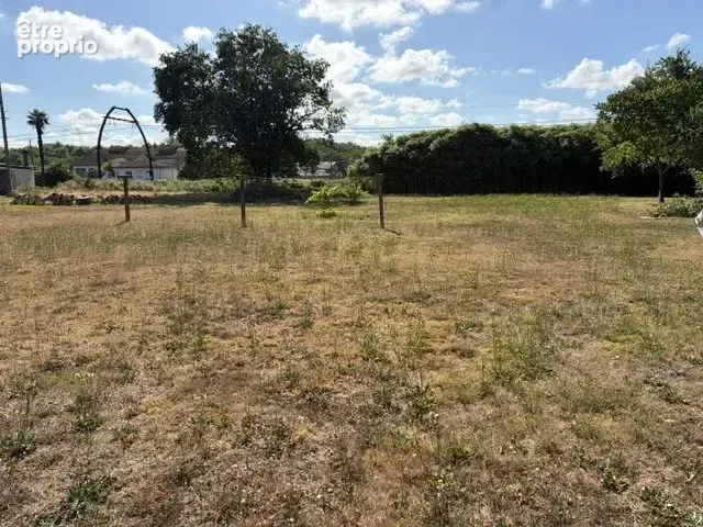Terrain 1 990 m² à vendre à Mees (40990) - photo 2
