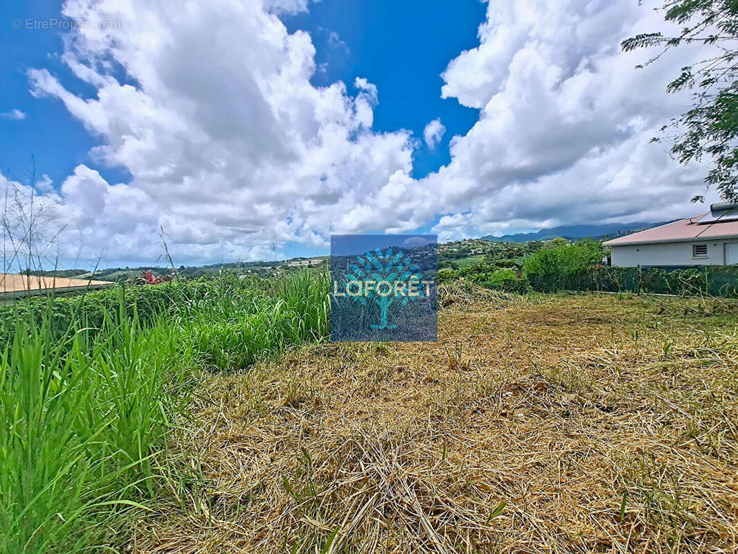 Terrain à LE LAMENTIN