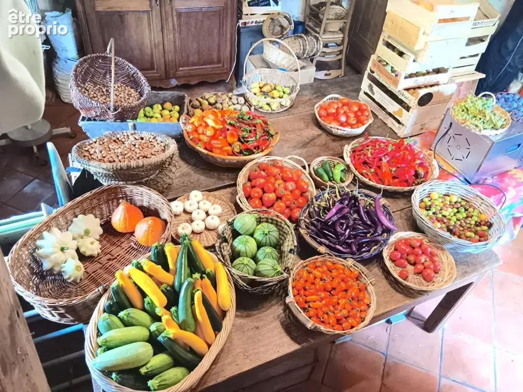 Ferme maraîchère avec gîtes, retaurant et point de vente - photo 16