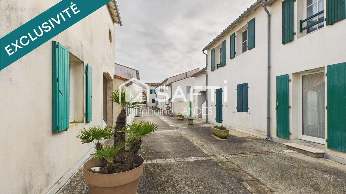 Photo 9 - Appartement à SAINT-MARTIN-DE-RE