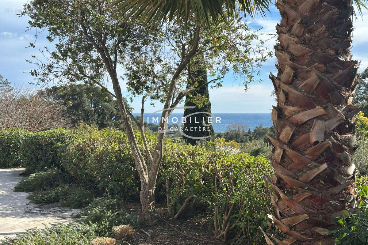 Maison à LA CROIX-VALMER