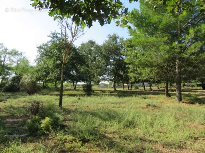 Terrain à MONTIGNARGUES