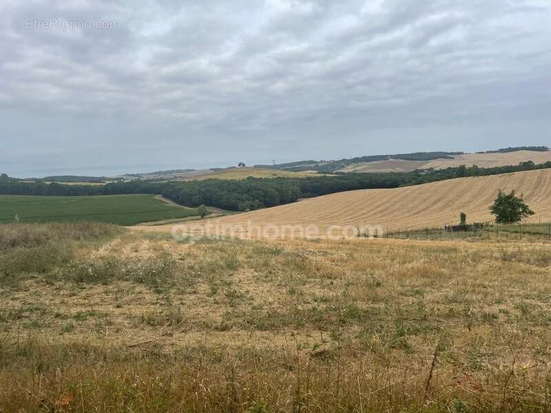Terrain à LE CASTERA