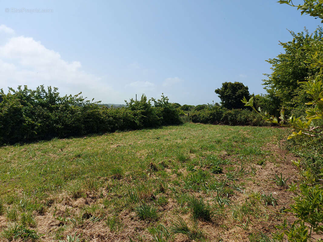 Terrain à COSQUEVILLE