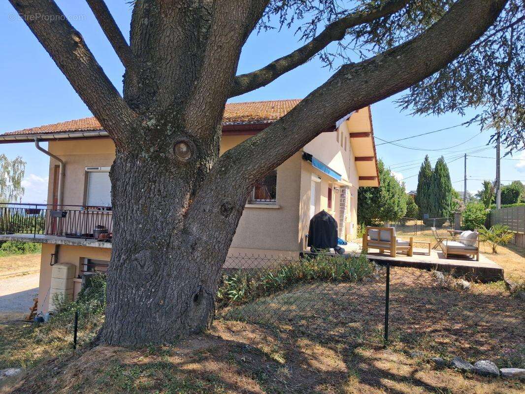 Maison À Vendre Publier - photo 5