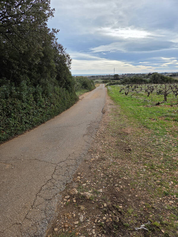 Terrain à FRONTIGNAN