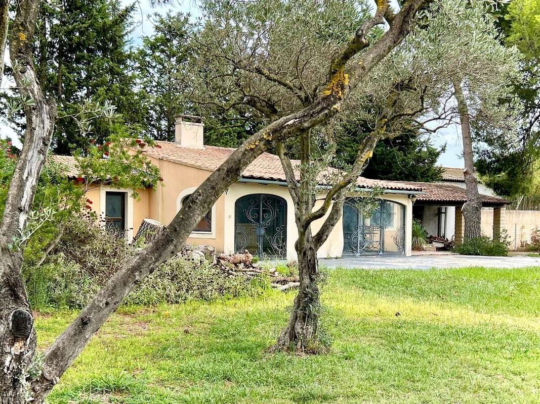 Photo 3 - Maison à SORGUES