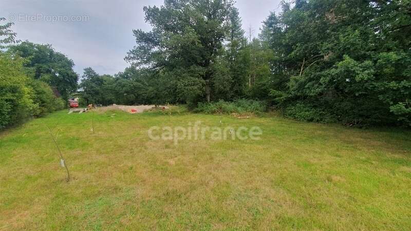 Terrain à vendre avec projet de construction CORBENAY (70) - photo 3