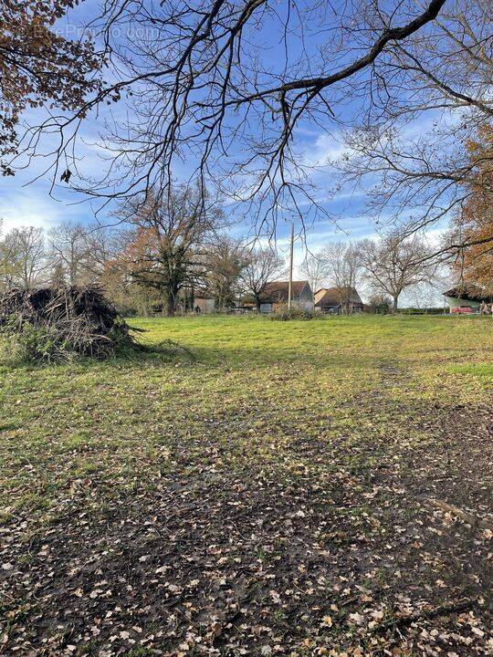 Terrain à SAINT-SYLVESTRE-PRAGOULIN
