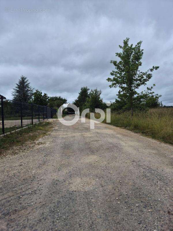 Terrain à TRELISSAC