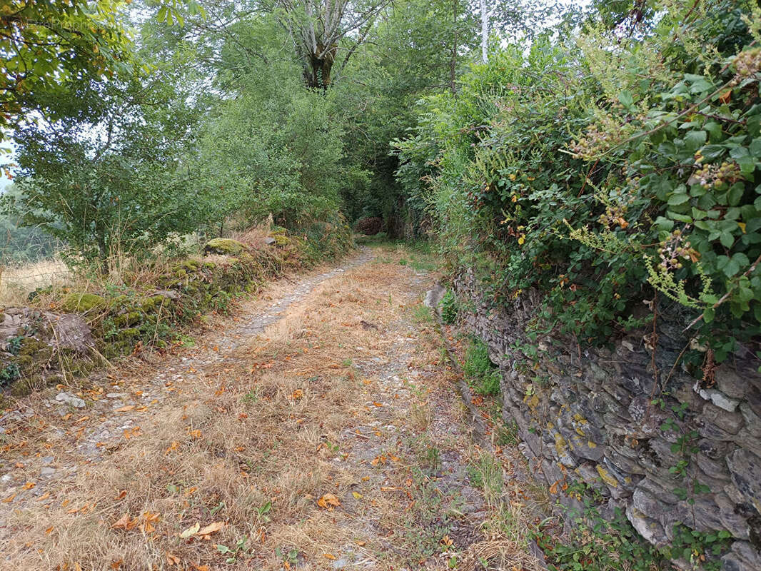 Corps de ferme - photo 7