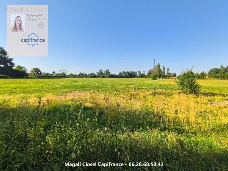 Bel ensemble immobilier de caractère sur près de 3 hectares. Maison, dépendances et Boxs à chevaux - photo 22