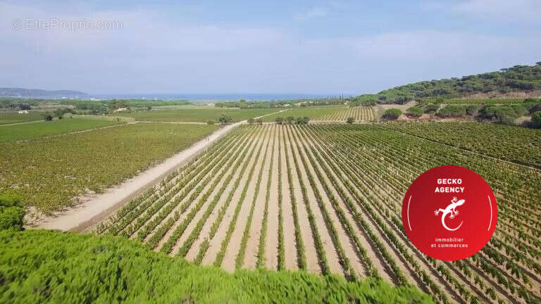 Maison à RAMATUELLE