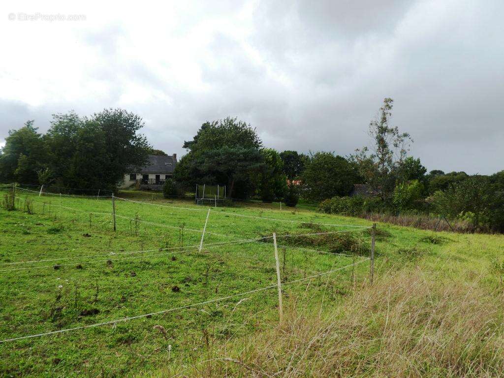 Propriété équestre - photo 33