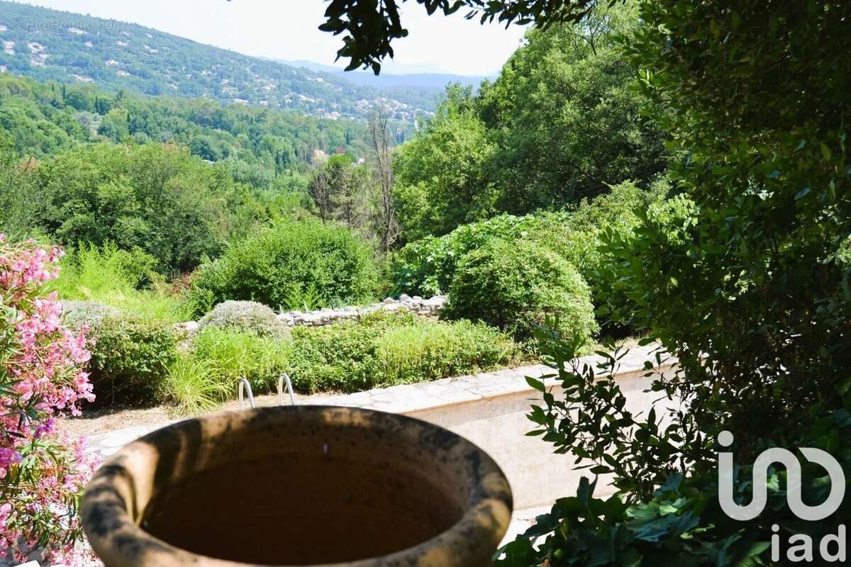 Photo 6 - Maison à MONTAUROUX