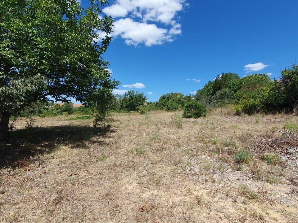 Terrain à GALLARGUES-LE-MONTUEUX