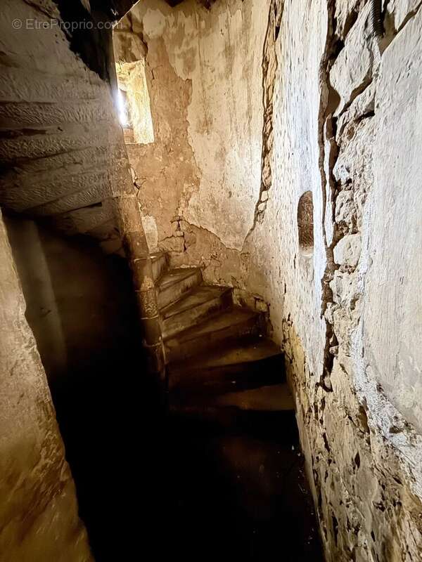 Charmante petite ferme-château entièrement à rénover - photo 8