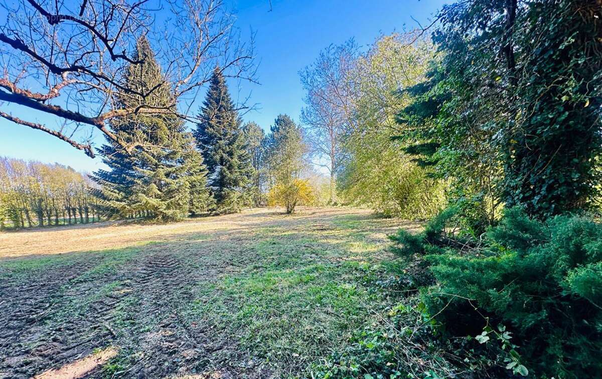 Maison à PONT-L&#039;EVEQUE